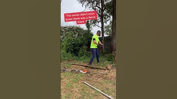 My biggest Free Yard Clean Up Yet. Overgrown Yard Mess