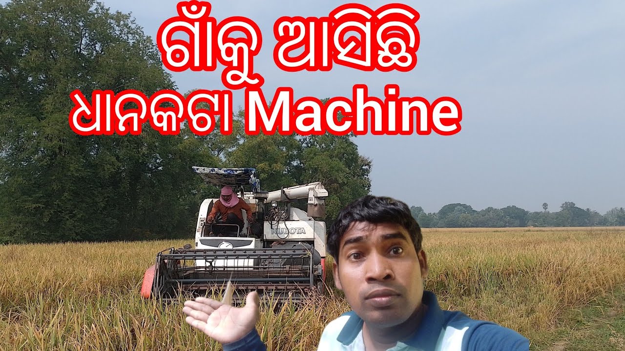 ଆମ ଗାଁଙ୍କୁ ଆସିଛି ଧାନ କଟା machine ll ଧାନ କଟା machine ଆସିଛି ଗାଁକୁ ll ବିଲ ରେ ଧାନ କଟା machine ll