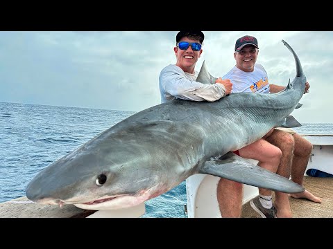 Video: De grootste vis van rivieren en oceanen