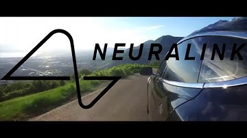 Baby Plugin Upload Your Mind Neuralink Tesla Grimes #weapreiatepower Video Art