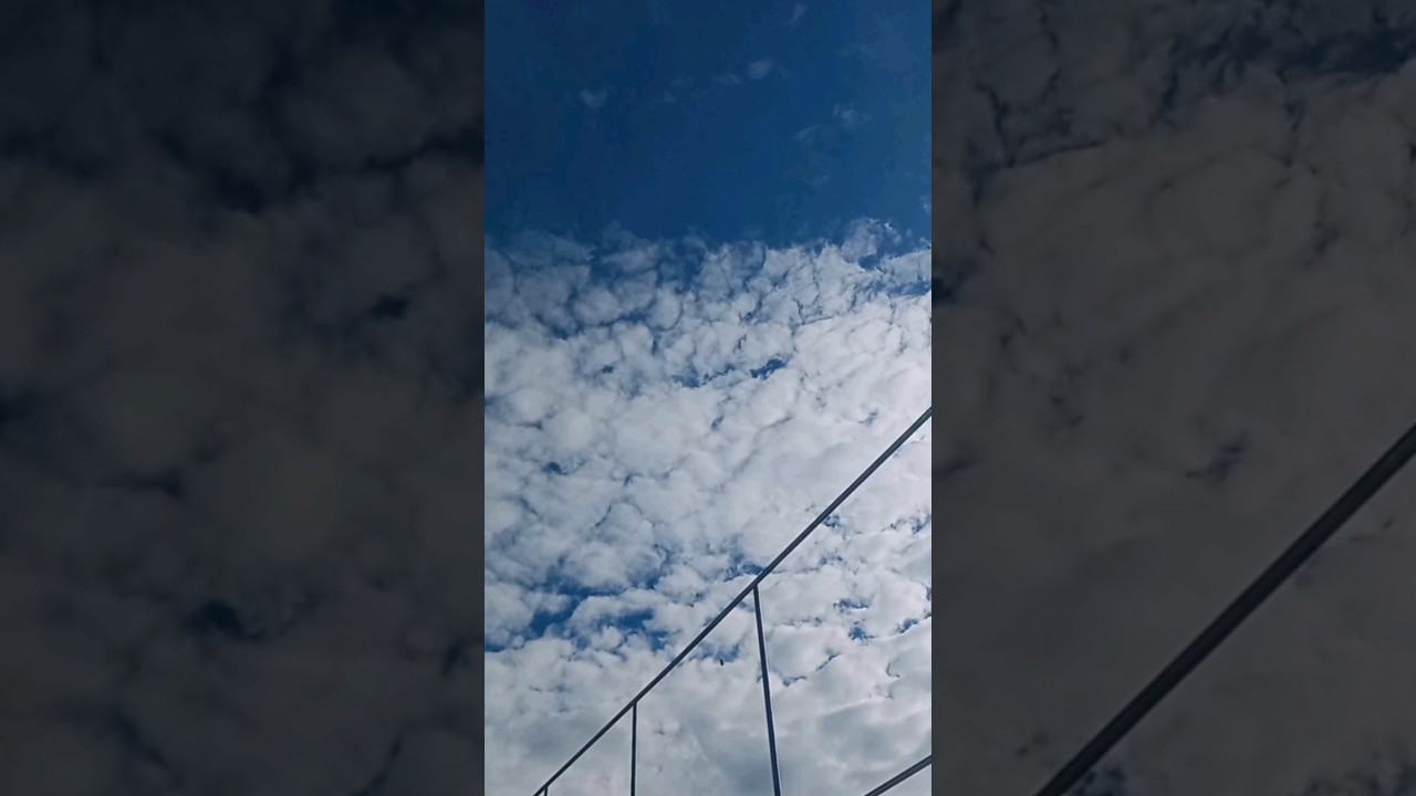 North Without Answers - seekfalls (album Un Nuage) #lofi #relax