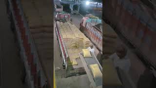 Cement Bag Loading and Stacking Process | Cement Bag Stacking Process | Factory Work|Amazing Factory