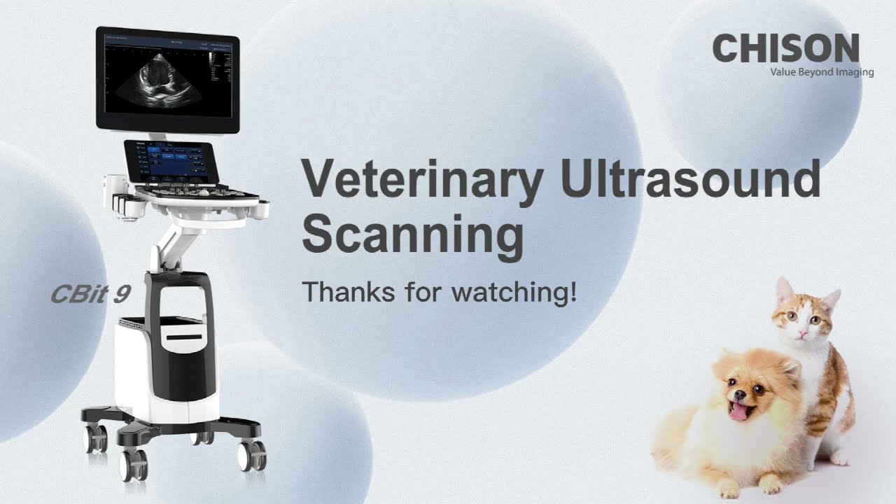 CBit9 Vet Operation - Episode 1 Kidney