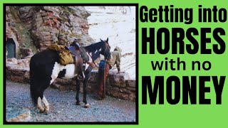 How did I DO It?   My horse JOURNEY ~ It's not what you think!