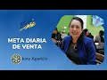 META DIARIA DE VENTA