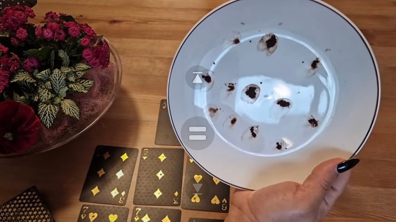 فکوس با شهرزاد  قراره بین ما چی پیش بیاد #فال  #قهوه