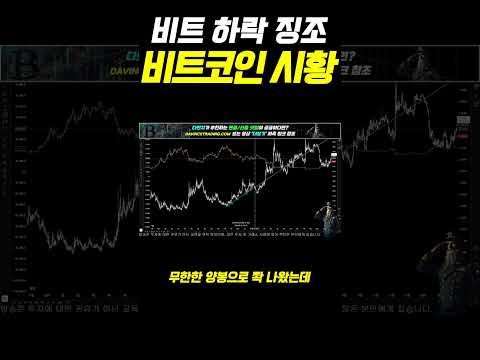 비트 하락 징조