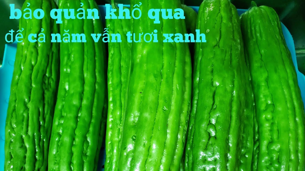 kinh nghiệm bảo quản khổ qua để được cả năm vẫn tươi xanh như mới @BÌNH TÂM