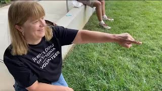 Butterflies released in remembrance of lost loved ones