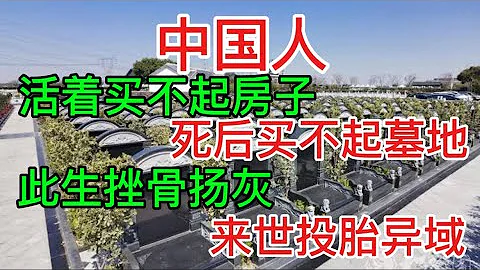 上海男子把亲爹骨灰扔垃圾桶遭官媒痛批“不孝”，大陆网友纷纷留言吐槽：墓地76万一平米，20年后不续费还要被刨坟 - 天天要闻