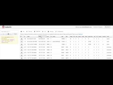 Redis Client list