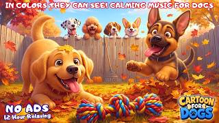 Information 🔴 Cartoon for Dog to Watch when Home Alone 🐕 Boredom Busting Videos & Music for Dogs - TV for Dogs Update