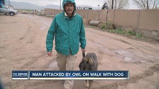 Man attacked by owl on hike
