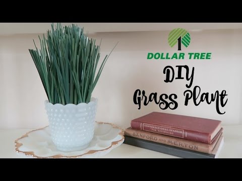 dollar store plants in aquarium