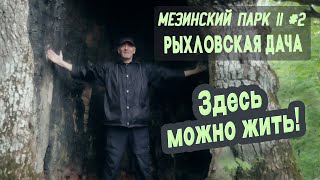 ⛺ Мезинский парк II #2. Рыхловская Дача - загадочные пещеры, еловая аллея, многовековые дубы!