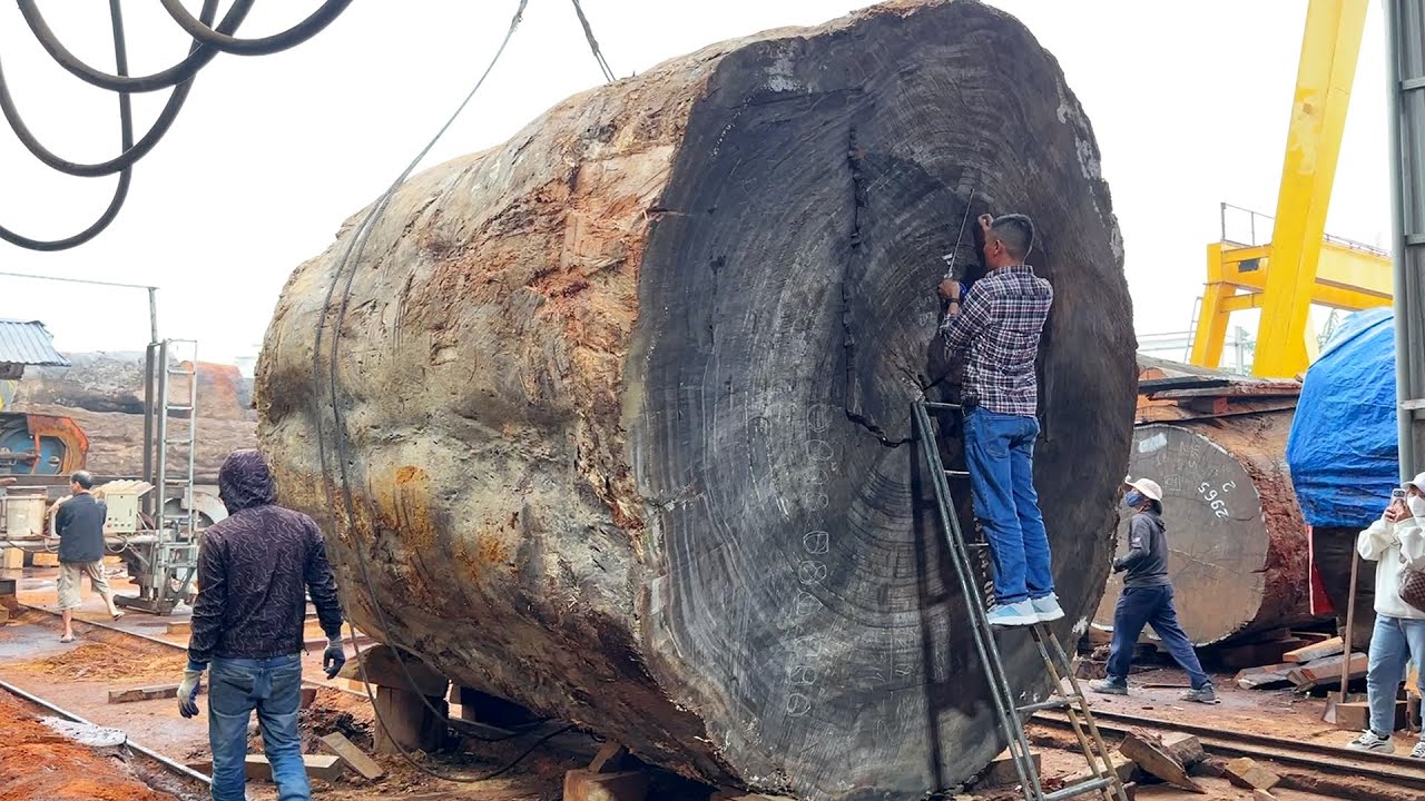 The World's Largest Sawmill // The Process Of Making A Monolithic Table From A Giant Tree
