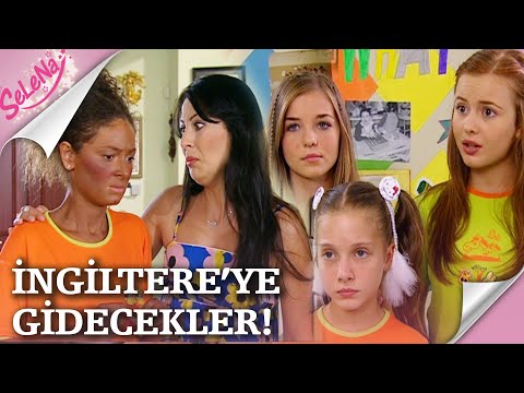 Video: Myles Split Burunlu Wonder Pibble Her Gün Bir Hediye Olduğunu Hatırlatıyor