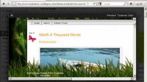 How to Install WordPress Themes Automatically