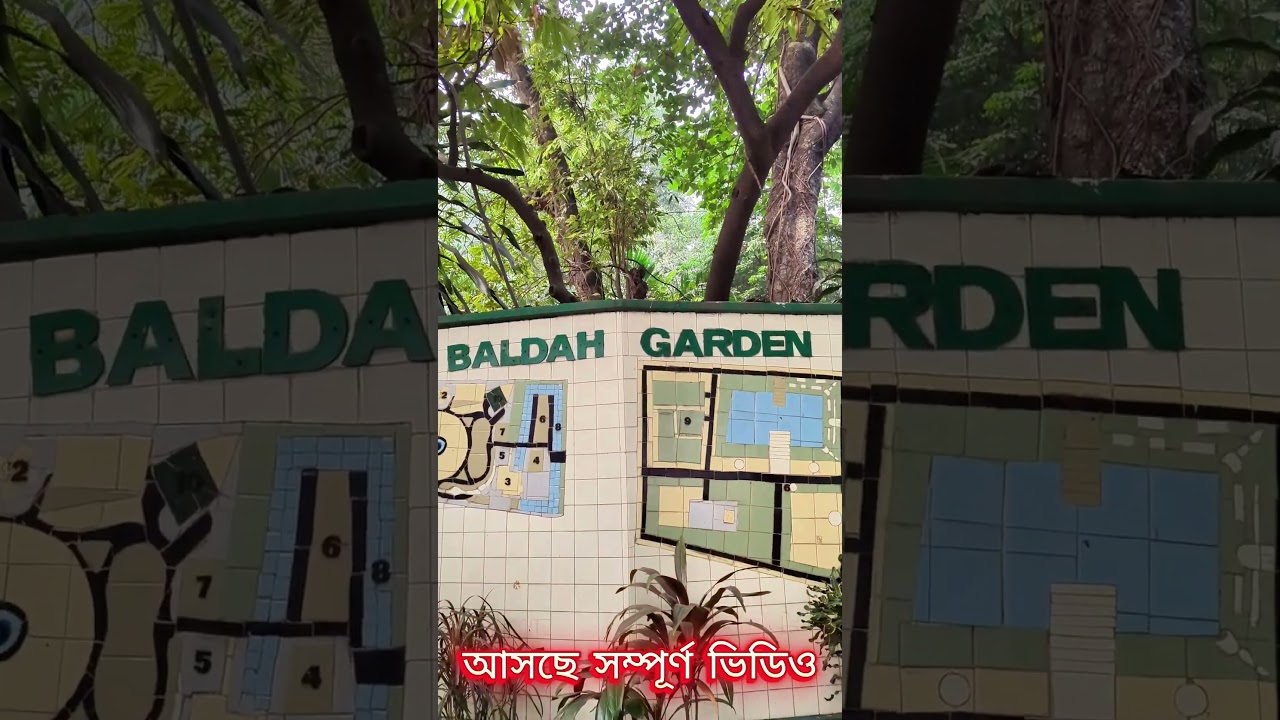 ঢাকার কোলাহলে এক চিলতে প্রশান্তি 🍀Baldah Garden #বলধাগার্ডেন #shorts