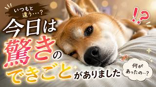 福ちゃんに大きな変化がありました