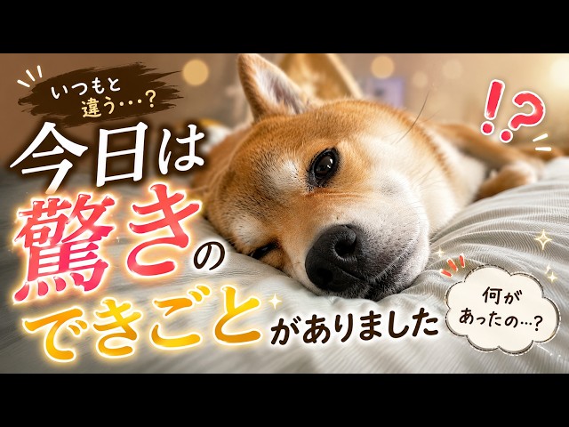 There has been a big change in Fuku-chan - YouTube
