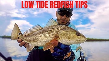 How To Find Redfish On Low Tide (What To Look For)
