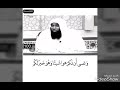 بدر المشاري عن الرضا بقدر الله وتفويض الامر لله قصة يوسف عليه السلام