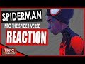 Spider Man Into The Spider Verse Movie Reaction KID REVIEW