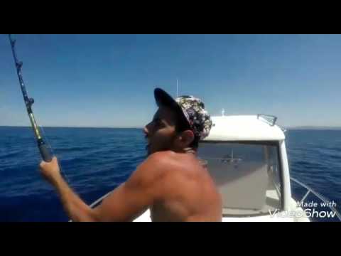 pesca al tonno