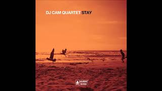 DJ Cam Quartet - Sweetest Pain
