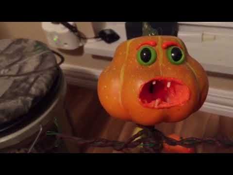 Gourds vs. Pumpkins! - YouTube