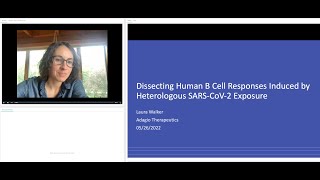 Dissecting human B cell responses induced by heterologous SARS-CoV-2 exposure