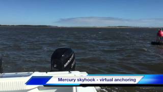 Freeman 34VH with Mercury joystick and skyhook virtual anchoring.