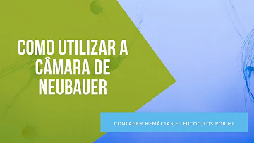 Como fazer a contagem na câmara de Neubauer?