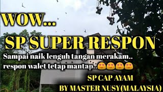 SUARA PANGGIL WALET GRATIS YANG SUPER RESPON//SP CAP AYAM BY MASTER NUSY(MALAYSIA)