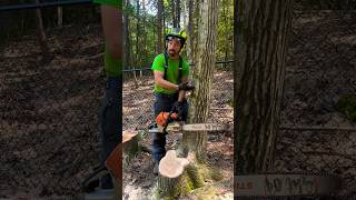 BEST Small Tree Felling Technique for FULL CONTROL ?