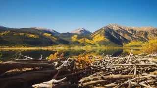 Minicied - Arioso Original Mix