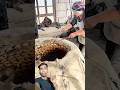 #viralvideo #update #bhajan