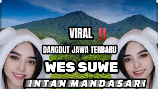 dangdut Jawa Viral Terbaru 2025wes Suwe Ii  Intan  Mandasari Cipt Arya Satria