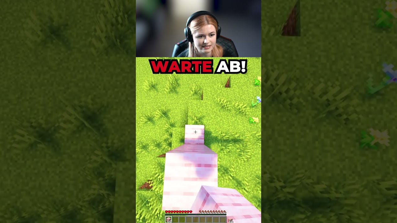 Der DÜMMSTE ADMIN 😡