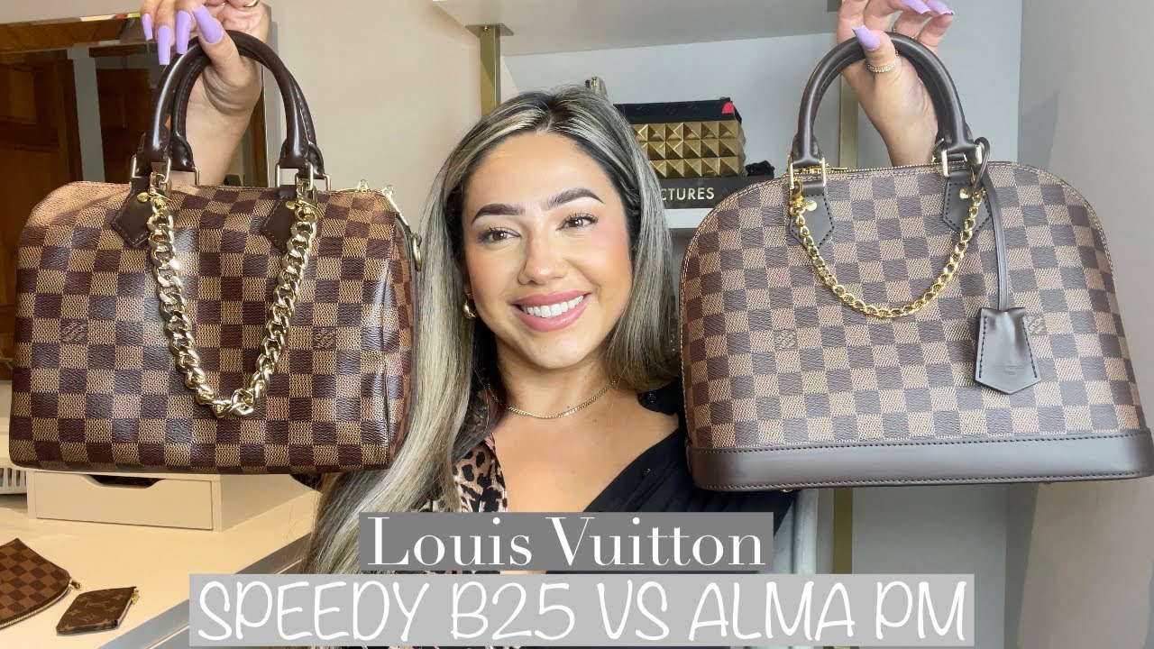 All About the Iconic Louis Vuitton Alma Bag  Inside The Closet