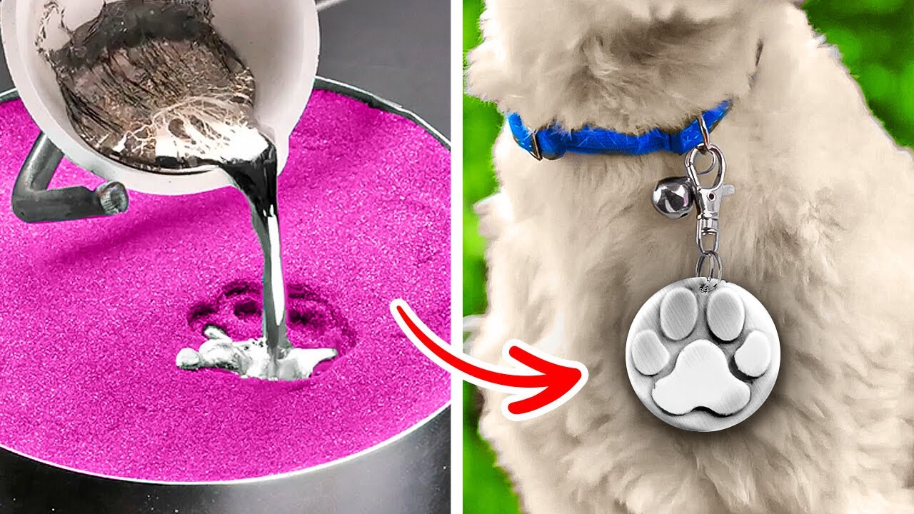 Awesome Pet Hacks And Useful Gadgets For Pet Owners