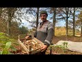 Hvordan jeg Opbevarer mine Kartofler og Gulerødder fra min Permakultur Køkkenhave