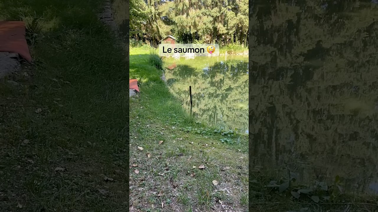 #potager #jardin #astuce #naturelovers