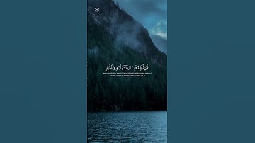 وَأَتِمُّوا الْحَجَّ وَالْعُمْرَةَ لِلَّهِ #ماهر_المعيقلي #سورة_البقرة