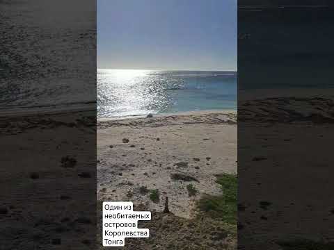 Видео: Необитаемый остров Королевства Тонга. Южный Тихий Океан #shorts #тихийОкеан #тонга
