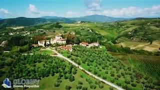 Stunning Estate Vineyard  in Florence