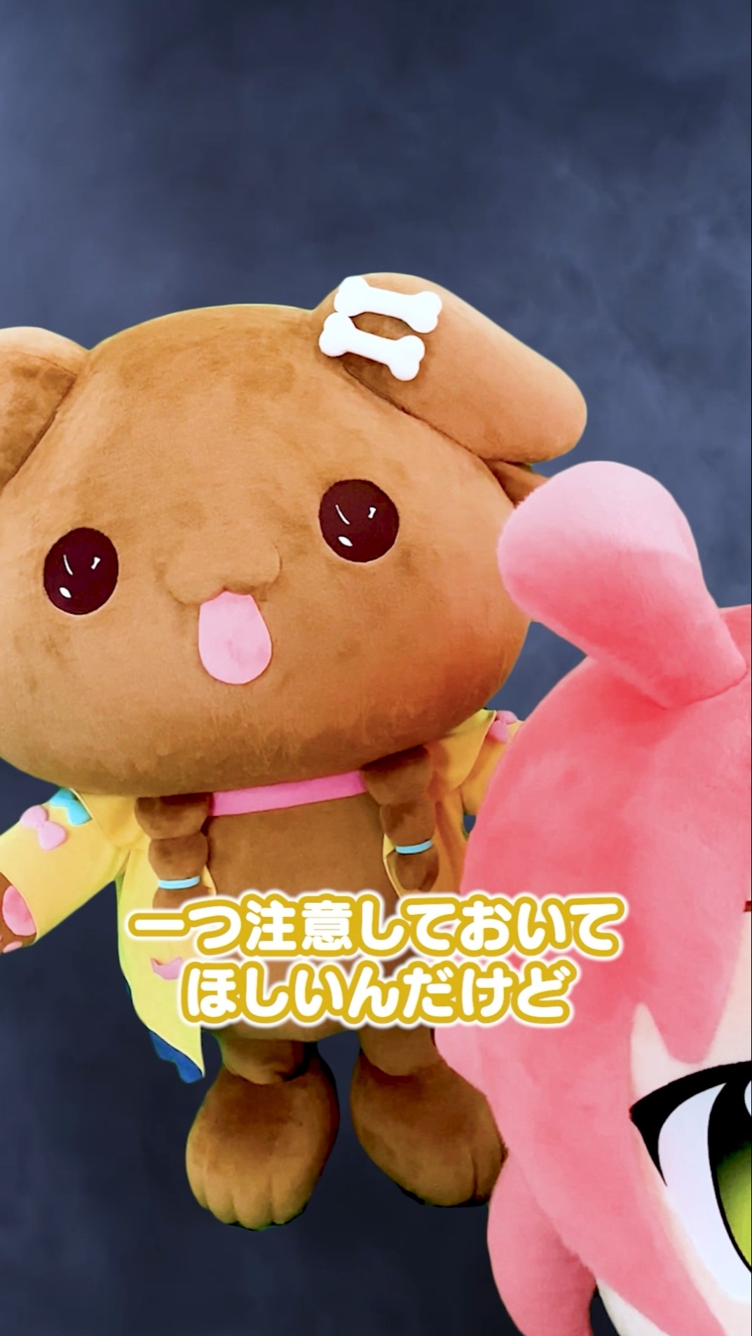 獰猛注意】毛玉ころねのヤバさがわかるほぼ1分解説 #ホロライブ