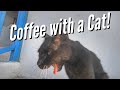 COFFEE WITH A CAT - back to the Amorgos Bakery
