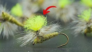 BEST Dry Fly To Use As A Mayfly!!